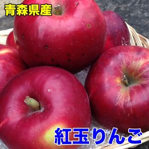 りんご 訳あり 4.5kg 青森県産 紅玉りんご 約4.5Kg 訳あり 送料無料｜daiwaya-syunkaan