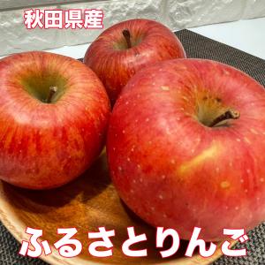 りんご 訳あり 10kg サンふじ リンゴ 秋田ふるさと 送料無料 秋田県産 ふるさとりんご ふじ 約10Kg ご家庭用 訳あり さんふじ 爆買