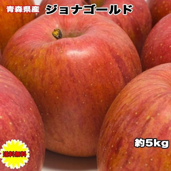 りんご 訳あり 5Kg箱 青森県 ジョナゴールド 4.5kg以上 常温便無料 ご家庭用 糖度保証 青...