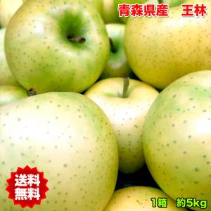 りんご 訳あり 5kg 青森県産王林りんご　約5kg　訳あり　糖度保証｜daiwaya-syunkaan