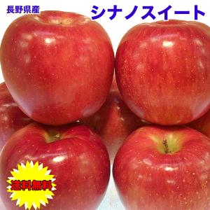 りんご 5Kg シナノスイート 長野県 シナノスイート 秀品 5kg 14〜20個 送料無料 ギフト 秀品 りんご 5kg お歳暮【10月下旬頃から】｜daiwaya-syunkaan