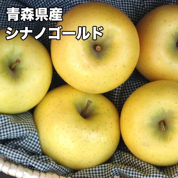 りんご 訳あり 10kg 青森県 シナノゴールド 10kg 送料無料 りんご 10kg シナノゴール...