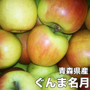 りんご 訳あり 5kg 青森県産 ぐんま 名月 約5kg 訳あり 幻のりんご 送料無料 傷あり 11月下旬頃から発送開始｜daiwaya-syunkaan