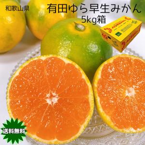 みかん 甘いみかん 早生みかん 小玉 送料無料 5Kg 有田みかん 和歌山県 有田 ゆら早生みかん 秀品 Sサイズ 5kg 早生みかん  贈答用 ギフト