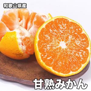 みかん 10Kg 和歌山県産 甘熟 みかん 秀品 Sサイズ 10kg 送料無料 ギフト みかん 10Kg