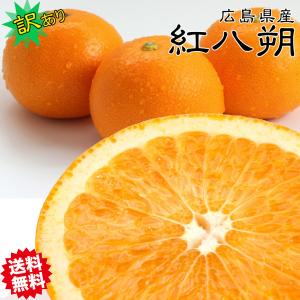 はっさく 八朔 みかん 訳あり 10Kg 広島県産 紅八朔 3Lサイズ 約10kg 送料無料 お試し