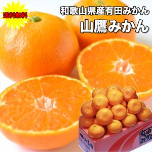 みかん 訳あり 5Kg 小玉 送料無料 ご家庭用 和歌山県 有田みかん 山鷹みかん Sサイズ 5Kg ギフト 爆買
