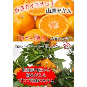 みかん 5Kg 小玉 送料無料 和歌山県 有田...の詳細画像1