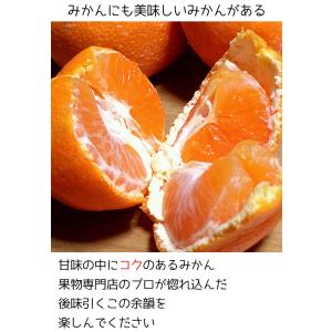 みかん 5Kg 小玉 送料無料 和歌山県 有田...の詳細画像5
