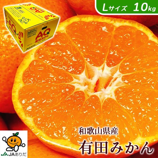 セール みかん 10kg 甘いみかん 有田 AQ 送料無料 和歌山 有田 みかん 秀品 Lサイズ 1...