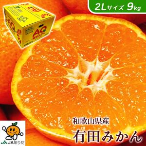 セール みかん 10kg 甘いみかん 有田 AQ 送料無料 和歌山 秀品 Mサイズ