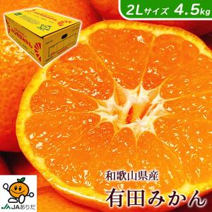 みかん 4.5kg 甘いみかん 有田 AQ 送料無料 和歌山 有田 みかん 秀品 2Lサイズ 4.5kg 贈答用 ギフト 有田みかん お歳暮 ギフト