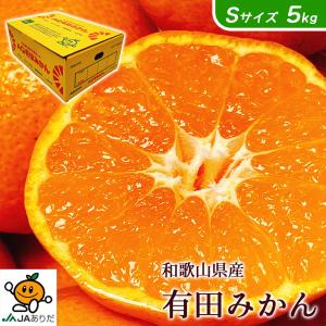 みかん 小玉 5kg 甘いみかん 有田 AQ 送料無料 和歌山 有田 みかん 秀品 Sサイズ 5kg 贈答用 ギフト 有田みかん お歳暮 ギフト 爆買