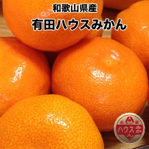 みかん 有田 ハウスみかん 送料無料 和歌山県 有田みかん ハウスみかん 秀 2.5kg 24玉入 みかん 送料無料 父の日 ギフト お中元｜daiwaya-syunkaan