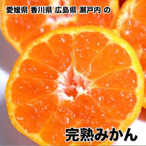 みかん 10Kg 訳あり 小玉 送料無料 愛媛県 香川県 広島県 瀬戸内 完熟みかん 2Sサイズ 10kg 愛媛県 香川県 広島県 瀬戸内 ギフト お歳暮