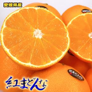 紅マドンナ 送料無料 愛媛県 紅まどんな 5kg 2Lサイズ ご家庭用 小キズ