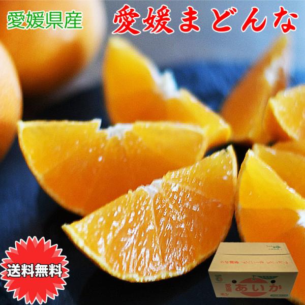 紅まどんな と同品種 あいか 愛媛県 愛媛まどんな Mサイズ 5kg JAの正規品 あいか 愛果28...