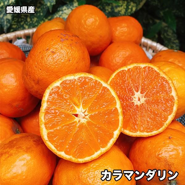 みかん 小玉 2.5kg 送料無料 愛媛県 カラマンダリン 秀品 Sサイズ 春 ギフト 幻のみかん ...