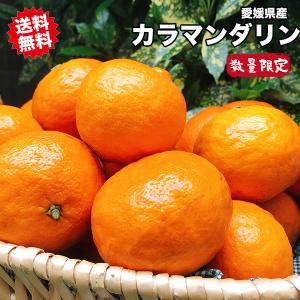 【5/25限定 ★26％OFF 5400円⇒3980円】数量限定 無くなり終了 在庫処分 中玉 訳あり 送料無料 5kg 愛媛県 カラマンダリン M-2Lサイズ 5kg 春 みかん