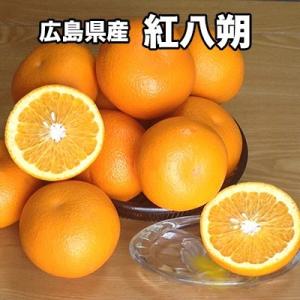 はっさく 八朔 みかん 5Kg 送料無料 広島県産 紅八朔 秀品 Mサイズ 5kg ギフト はっさく