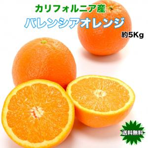和歌山県産 バレンシアオレンジ 2Lサイズ 26玉 約5kg×1箱 ☆希少な国産