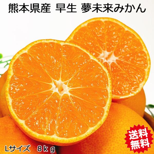 お得 みかん 甘いみかん 訳ありみかん 8kg箱 送料無料 熊本県産 夢未来みかん Lサイズ 8kg...