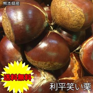 栗 くり 利平 熊本県産 利平 笑い栗 3Lサイズ 2Kg りへい 栗 お試し 栗の王様 利平栗 クール便配送 送料無料