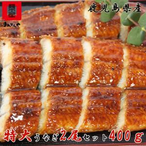 ギフト うなぎ まんてんや 国産 鹿児島 うなぎ蒲焼き 父の日 送料無料 鹿児島県産 うなぎ蒲焼き 2尾セット 400g ウナギ 母の日 父の日 ギフト 海産物 爆買