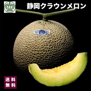 お歳暮 メロン 静岡 マスクメロン クラウンメロン 静岡県 クラウン メロン 2個入り 約2.4kg 高級ブランド 白クラス プレゼント ギフト｜daiwaya-syunkaan