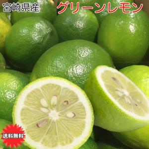 宮崎県産 グリーン レモン Mサイズ 45個入 5Kg 送料無料 日南レモン お試し 減農薬 ノーワックス 皮まで美味しい｜daiwaya-syunkaan