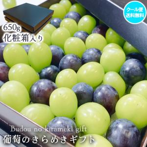 ぶどう フルーツギフト きらめきギフト 650g 化粧箱入 ぶどうの宝石箱 送料無料 シャインマスカット 巨峰 ピオーネ 富士の輝き ナガノパープル 爆買