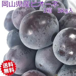 ぶどう ピオーネ 岡山県産 ピオーネ の セット...の商品画像