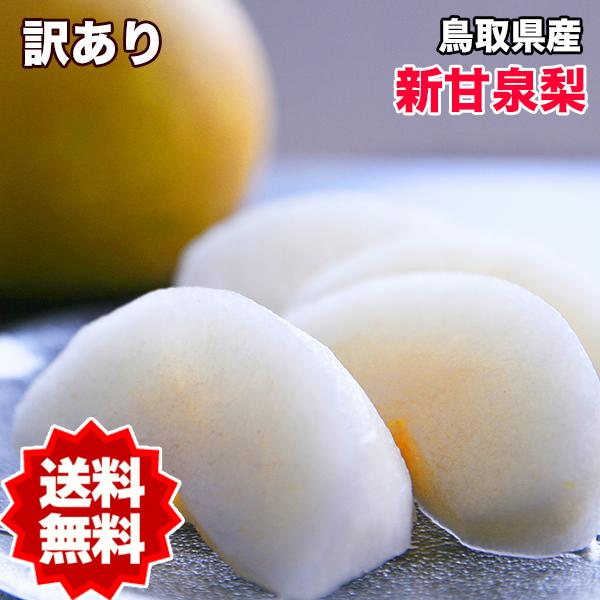 梨 5kg 新甘泉 甘い梨 送料無料 訳あり 鳥取県産 新甘泉梨 5kg 6〜20玉入 ご家庭用 訳...