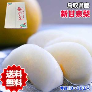 梨 5kg 送料無料 訳あり 鳥取県産 新甘泉梨 6〜20玉入 ご家庭用 梨 5kg 送料無料 訳あり 鳥取県産 新甘泉梨 6〜20玉入 ご家庭用