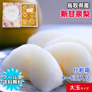 梨 新甘泉 甘い梨 クール便 送料無料 大玉 鳥取県産 新甘泉梨 秀品 大玉 4玉から6玉入 化粧箱入り 新甘泉 鳥取 なし ナシ お歳暮 プレゼント 贈答用 ギフト