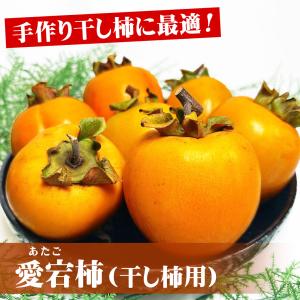 渋柿 しぶ柿 干し柿用 柿 愛媛県 徳島県 香...の詳細画像1