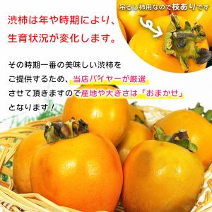 渋柿 しぶ柿 干し柿用 柿 愛媛県 徳島県 香...の詳細画像3