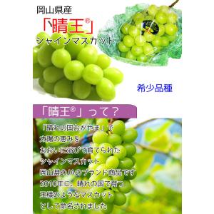ぶどう シャインマスカット 晴王 送料無料 岡...の詳細画像1