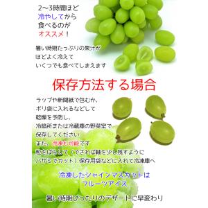 ぶどう シャインマスカット 山梨県産 シャイン...の詳細画像3