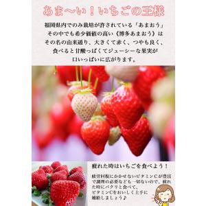 いちご イチゴ 苺 福岡県産 あまおう DX ...の詳細画像3
