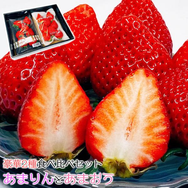 いちご イチゴ 苺 送料無料 食べ比べ あまりん あまおう DX 苺の食べ比べセット 埼玉県産あまり...