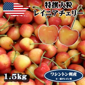 アメリカンチェリー カリフォルニア州産 レイニアチェリー 大粒 1kg