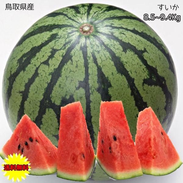 すいか 訳あり 鳥取県産 西瓜 8.5Kg〜9.4kg スイカ 送料無料 鳥取県 西瓜 すいか 大玉...