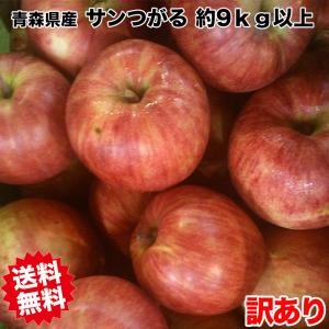 りんご 訳あり 10kg箱 青森県産サンつがる 9kg以上 サイズいろいろ　ご家庭生食用　2022年度収穫分【9月下旬頃から】