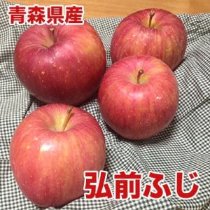 りんご 訳あり 10kg ふじ 弘前 送料無料 青森県産 弘前 ふじ 約10kg ご家庭用 糖度保証 サイズいろいろ