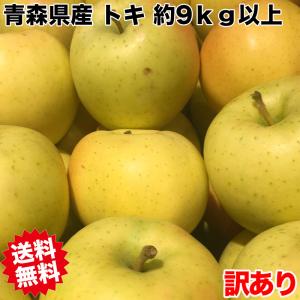 りんご 10Kg箱 訳あり 小玉 青森県産 トキ りんご 40玉または46玉 9kg以上 ご家庭用 糖度保証 10kg箱 りんご 訳あり トキ 生食用 希少品種【10月上旬頃から】