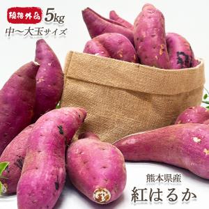 さつまいも 訳あり 5kg 中玉〜大玉 送料無料 紅はるか 熊本県産 紅はるか 規格外品 中-大サイズ 10-45本入 甘い 芋 さつま芋 生芋 せいろ蒸し ダイエット 爆買