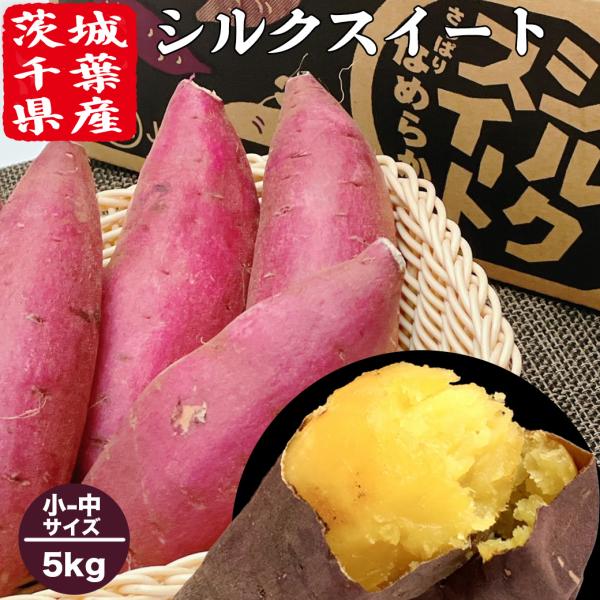 さつまいも 5kg 小-中サイズ 送料無料 シルクスイート 茨城県 または 千葉県 シルクスイート ...