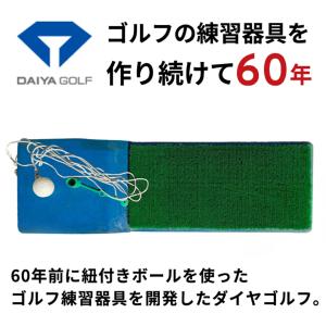 アイアン ボールの当たった跡が見える | ドラ...の詳細画像4