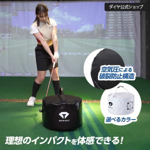 DAIYA GOLF スイング練習器具 ゴルフ練習器具 ゴルフスイング プロの